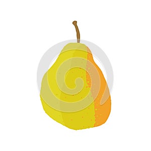 Pear fruit isolated vector