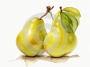 Pear Fruit Watercolor on white background. ai generative