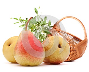 Pear fruit and wicker basket on white background cutout