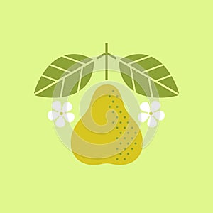 Pear illustration. Pear with leaves and flowers on shabby background. Flat design.