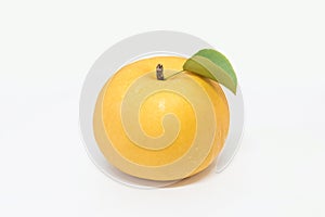Pear isolated on background.