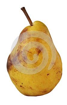 Pear isolated on a white background.