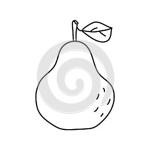 Pear with leaf. Fruit sketch. Black line icon. Vector illustration for coloring book