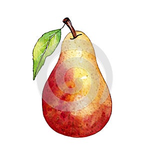 Pear with a leaf, isolated fruit in red and yellow, watercolor illustration on white background