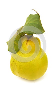 Pear with leaves