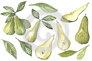 Pear with leaves set watercolor