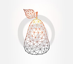 Pear low poly illustration