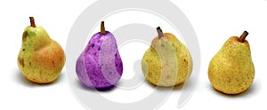Pear,pears