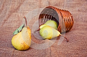 Pear and punnet photo