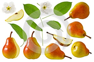 Pear red yellow fruit set with slice, flower and green leaf isolated on white background. Collection for package design