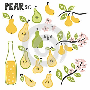 Pear set. Pear whole chopped half quarter cut slices pear leaves and ciser or coda bottle. cartoon doodle collection. Hand drawn