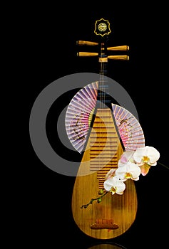 Chinese traditional musical instrument, pipa with white orchids on dark background photo