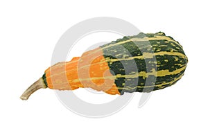 Pear-shaped ornamental gourd with orange and green stripes