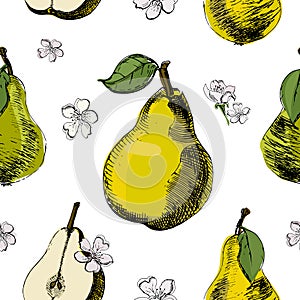 Pear sketch seamless pattern.Vintage ink hand drawn vector of different pears and flowers of pear on white background