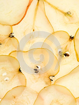 Pear slice pattern backlit