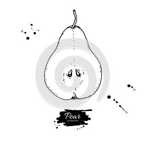 Pear slice vector drawing. hand drawn object on white b