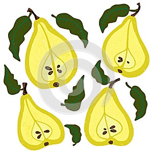 Pear slices. Vector grainy set