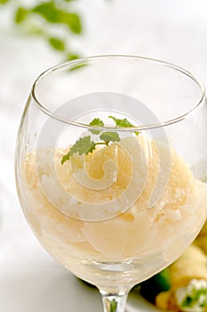 Pear sorbet photo