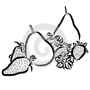 Pear and Strawberry Sketched Outline Vector Illustration