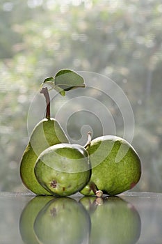 Pear study still life with reflection