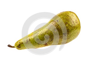 Pear tree fruit isolated on white background