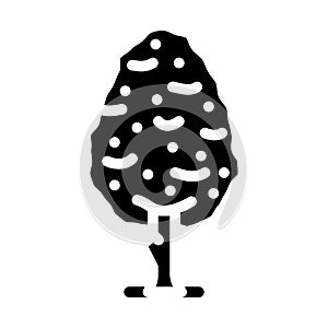 pear tree glyph icon vector illustration