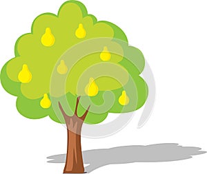 Pear tree isolated on white - flat design illustration vector