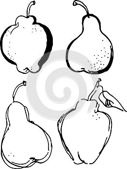Pear. Vector illustration.