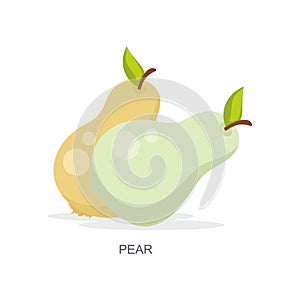 Pear vector illustration with flat design, isolated on white background