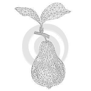 Pear yellow-and sheet branch outline low-polygon vector illustration editable hand draw