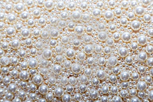 Pearl background. Texture from beads of white pearls