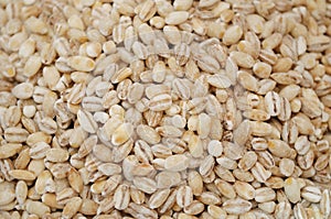 Pearl Barley