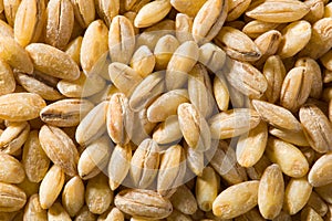 Pearl barley