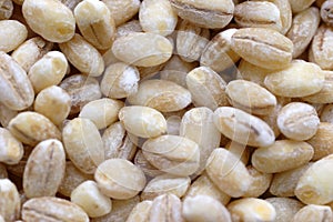 Pearl barley