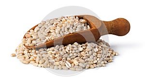 Pearl barley