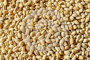 Pearl barley background