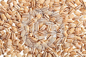 Pearl barley food ingredient background