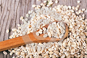 Pearl barley grains