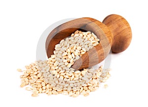 Pearl barley grains in wooden scoop, isolated on white background. Barley seed close up.