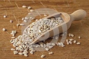 Pearl Barley in a Scoop on a Wooden Board