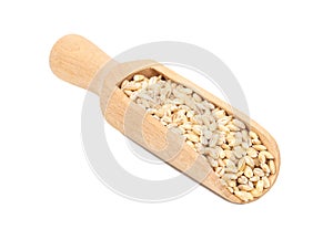 Pearl barley in scoop