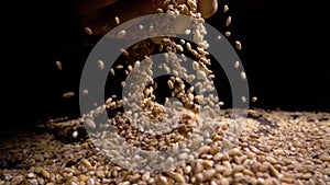 Pearl barley spilling on burlap