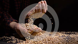 Pearl barley spilling on burlap