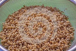 Pearl barley, washed with warm water before cooking