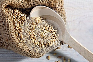 Pearl barley