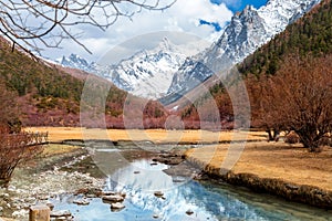 Pearl Lake in Yading national level reserve