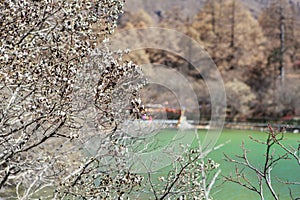 Pearl Lake at Yading Nature Reserve in Sichuan, China