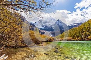 Pearl Lake or Zhuoma La Lake and snow mountain in autumn in Yading Nature reserve, Sichuan, China