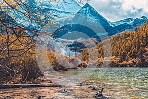 Pearl Lake or Zhuoma La Lake and snow mountain in autumn in Yading Nature reserve, Sichuan, China