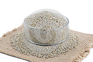 Pearl Millet or Bajra